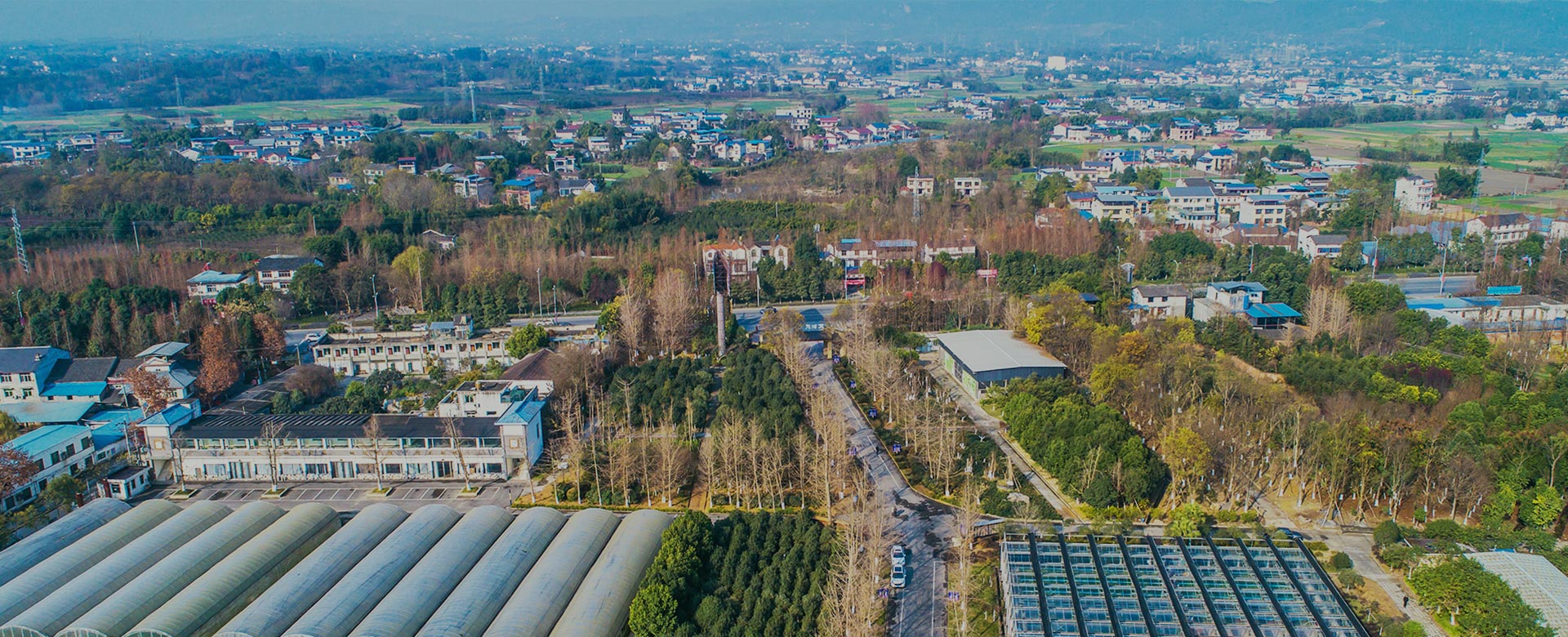 蔬菜品種育苗、示范推廣、基地種植、農(nóng)產(chǎn)品生產(chǎn)、加工 、銷(xiāo)售